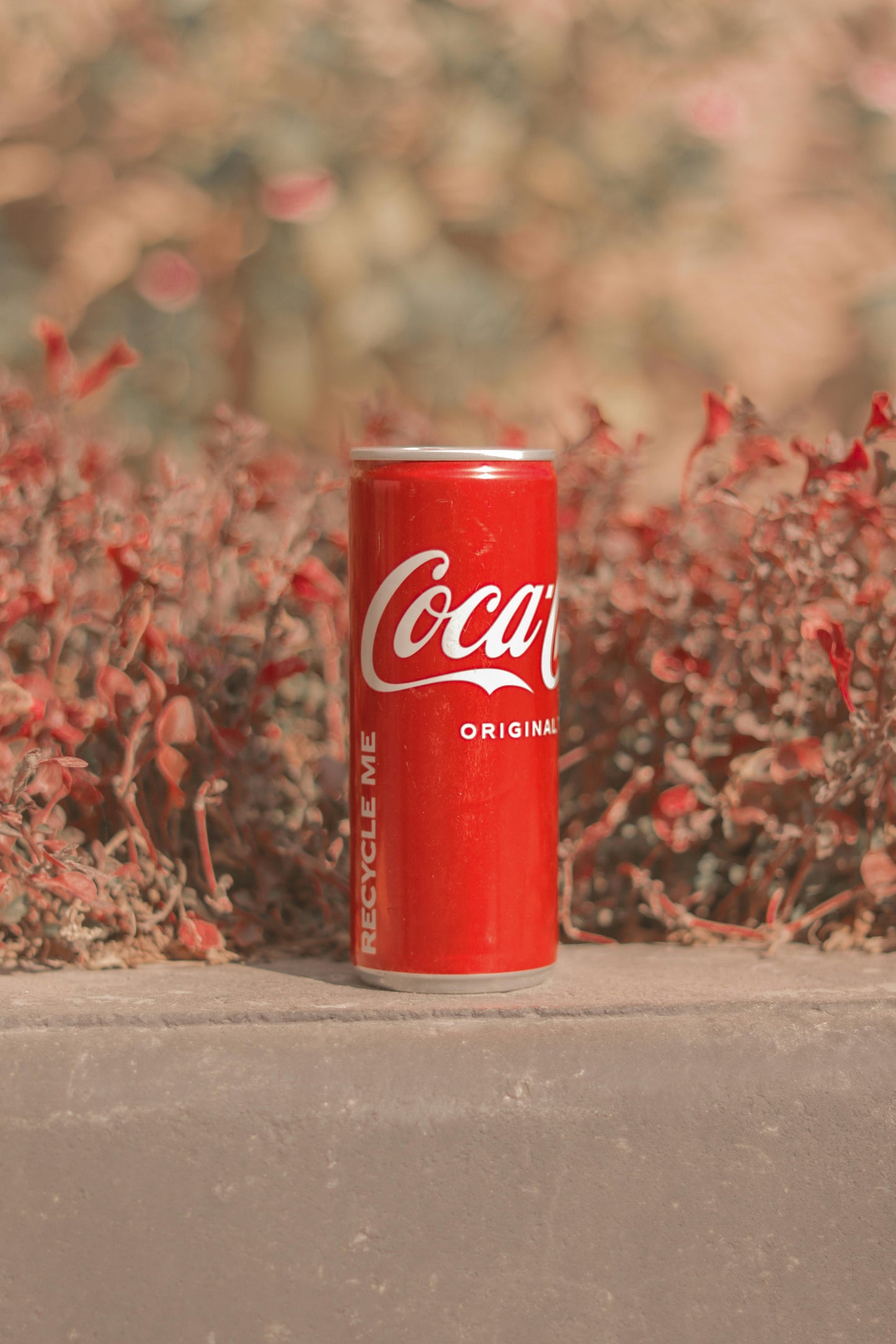 LLAUNA COCA COLA CLASSIC 350ml